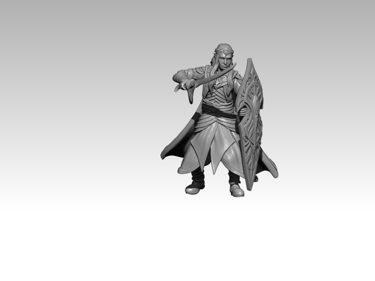 Elf Captain with sword and shield